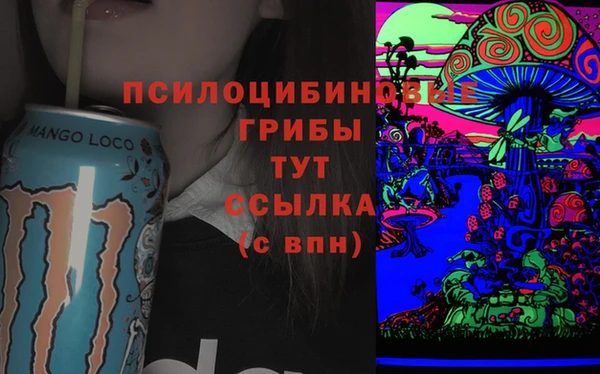 гидропоника Нягань