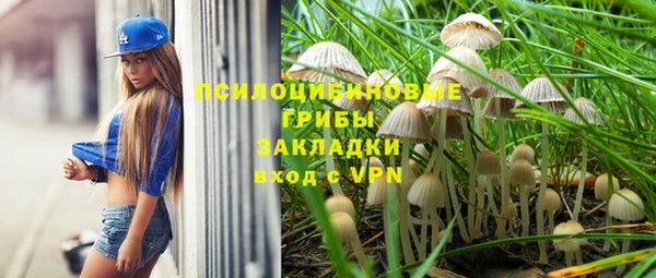 гидропоника Нягань