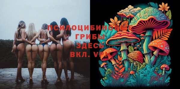 твердый Нязепетровск